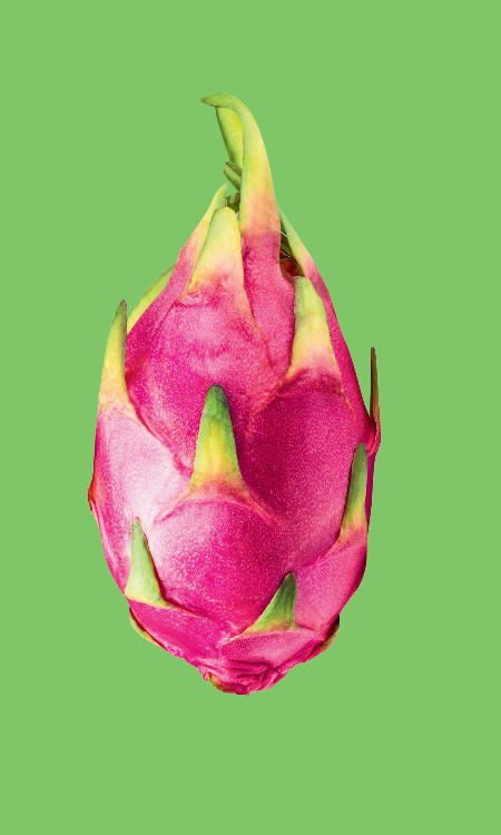 Simplicity card by Crafty Bitch - Bold dragon fruit design and solid green background card